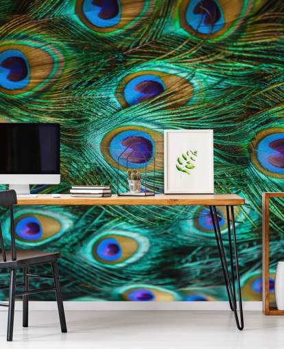 Peacock Eyes Print