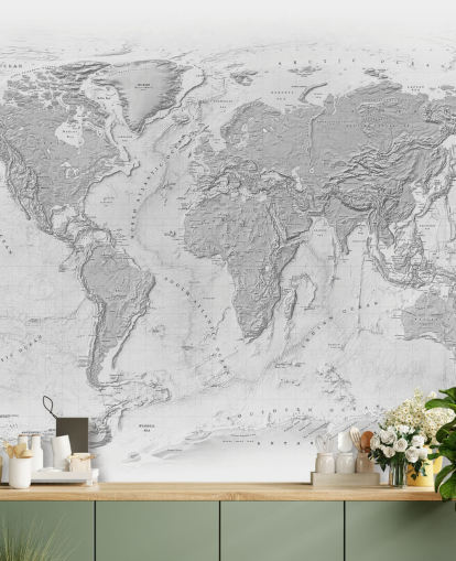 mural de mapa del mundo gris