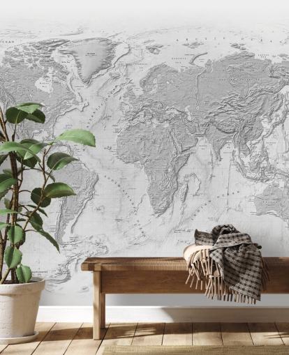 gray world map mural