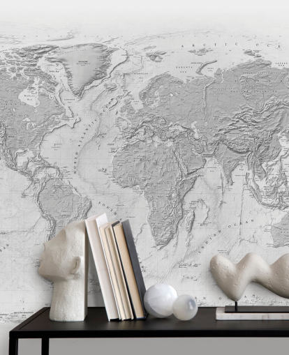gray world map mural