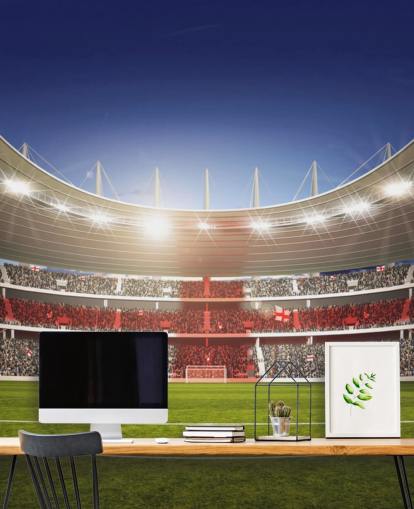 Football Stadium with England Flag mural