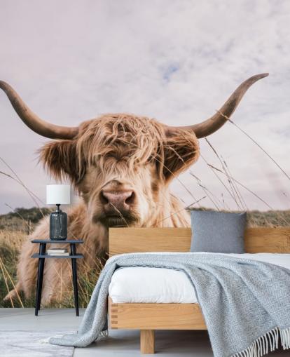 brunt tilpasset ku tapet veggmaleri kalt Scottish Highland Cow for hjem og kontorer