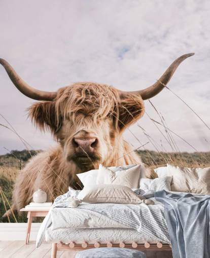 brown custom cow wallpaper mural called Scottish Highland Cow for homes and offices brown custom cow wallpaper mural called Scottish Highland Cow for homes and offices