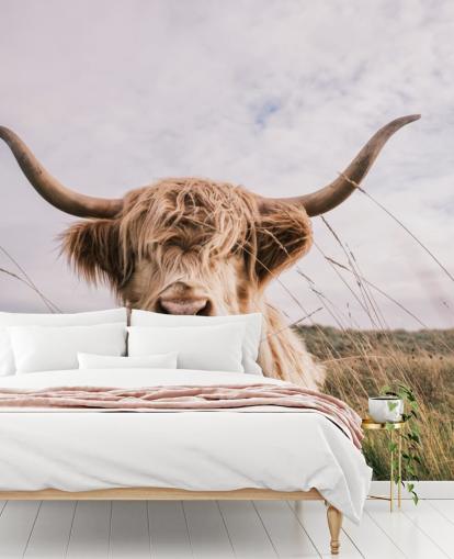 brown custom cow wallpaper mural called Scottish Highland Cow for homes and offices
