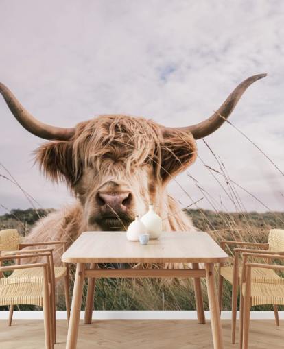brown custom cow wallpaper mural called Scottish Highland Cow for homes and offices