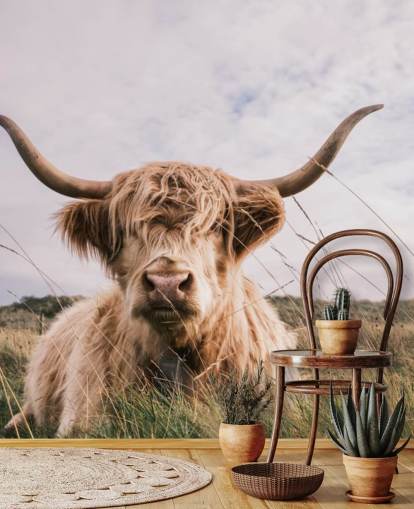 mural de papel de parede de vaca marrom personalizado chamado Scottish Highland Cow para residências e escritórios
