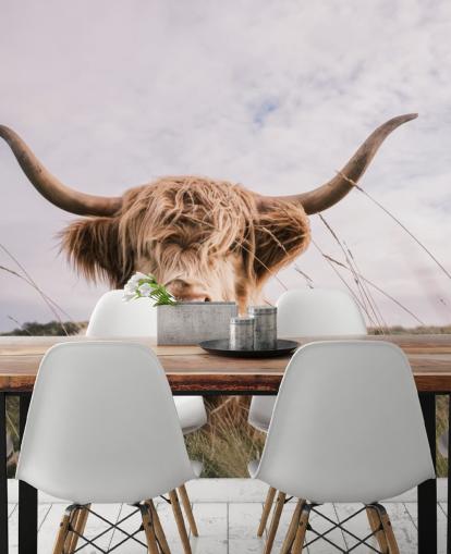 brown custom cow wallpaper mural called Scottish Highland Cow for homes and offices
