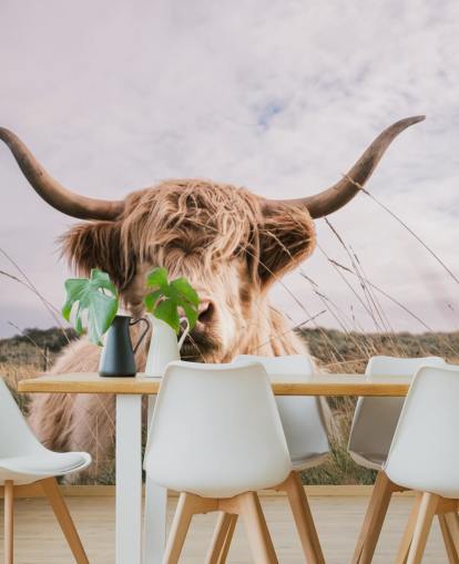brown custom cow wallpaper mural called Scottish Highland Cow for homes and offices brown custom cow wallpaper mural called Scottish Highland Cow for homes and offices