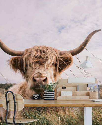 brown custom cow wallpaper mural called Scottish Highland Cow for homes and offices
