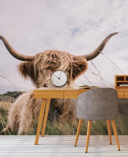 brown custom cow wallpaper mural called Scottish Highland Cow for homes and offices