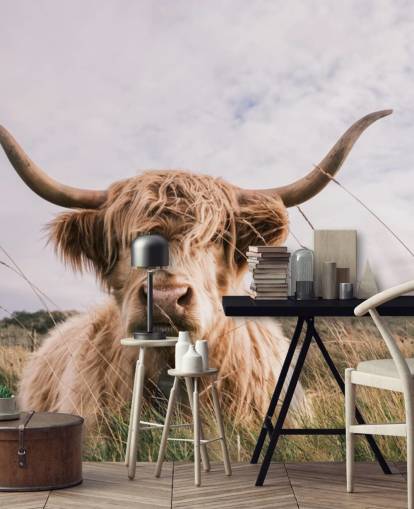 mural marrón personalizado de papel pintado de vaca llamado Scottish Highland Cow para hogares y oficinas