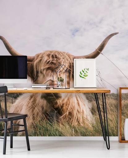 braune kundenspezifische Kuh-Tapete namens Scottish Highland Cow für Häuser und Büros