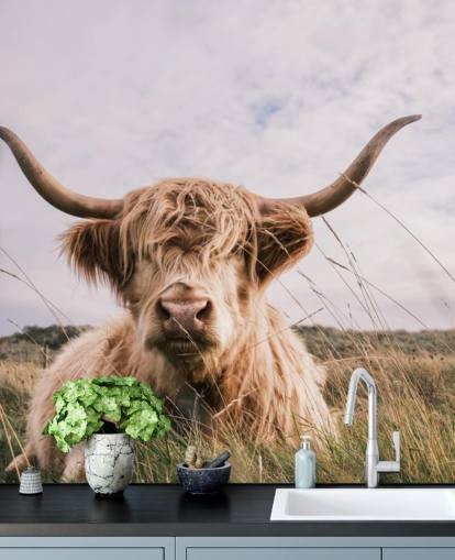 brown custom cow wallpaper mural called Scottish Highland Cow for homes and offices