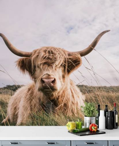 mural de papel de parede de vaca marrom personalizado chamado Scottish Highland Cow para residências e escritórios