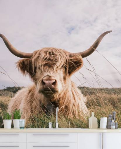 ruskea mukautettu lehmän taustakuvamaalaus nimeltä Scottish Highland Cow koteihin ja toimistoihin