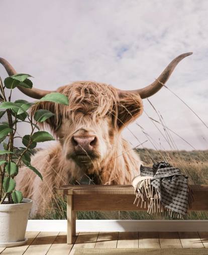 mural de papel de parede de vaca marrom personalizado chamado Scottish Highland Cow para residências e escritórios