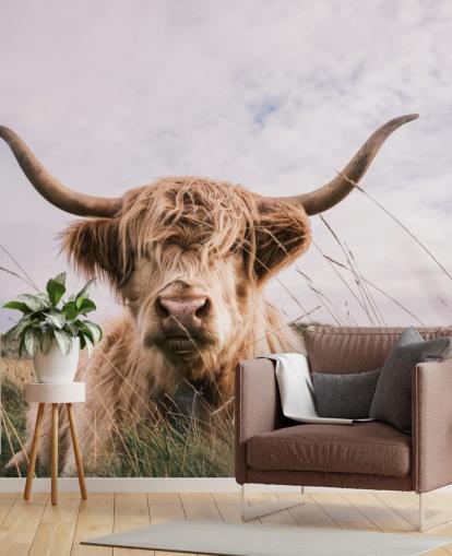 brown custom cow wallpaper mural called Scottish Highland Cow for homes and offices brown custom cow wallpaper mural called Scottish Highland Cow for homes and offices