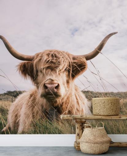 brown custom cow wallpaper mural called Scottish Highland Cow for homes and offices