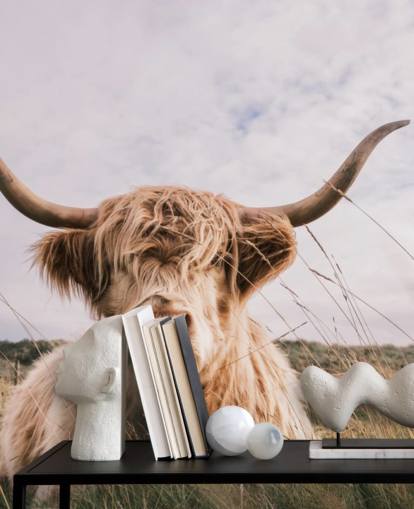 brown custom cow wallpaper mural called Scottish Highland Cow for homes and offices