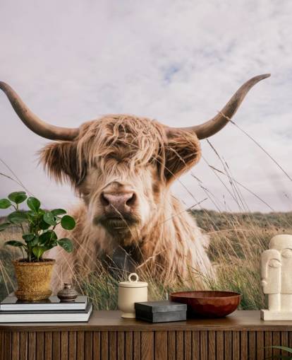 brown custom cow wallpaper mural called Scottish Highland Cow for homes and offices
