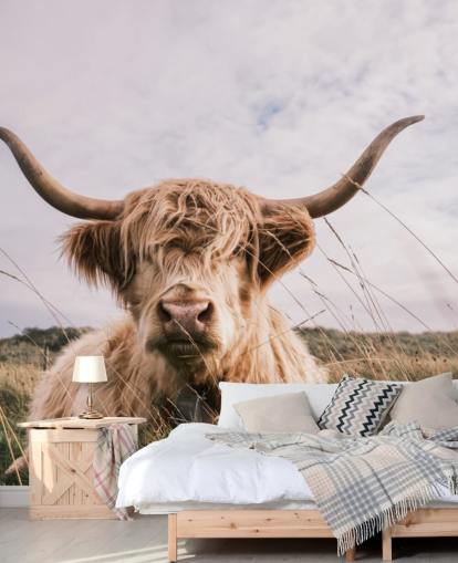 papier peint mural marron personnalisé en forme de vache appelé Scottish Highland Cow pour les maisons et les bureaux