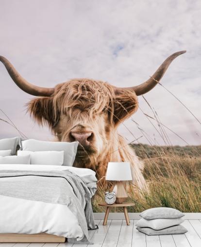 mural marrón personalizado de papel pintado de vaca llamado Scottish Highland Cow para hogares y oficinas