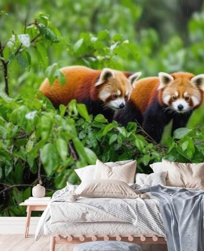 rødt tilpasset panda tapet veggmaleri kalt Red Pandas in Tree