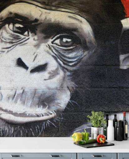 Papel pintado Grafiti de chimpancé