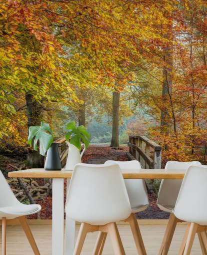 Tapeten-Wandbild „Herbstwald mit Brücke“