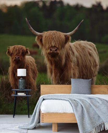 mural de papel de parede de vaca personalizado marrom chamado Highland Cow and Calf 
