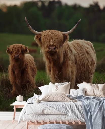 brown custom cow wallpaper mural called Highland Cow and Calf brown custom cow wallpaper mural called Highland Cow and Calf