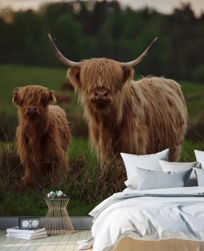 brown custom cow wallpaper mural called Highland Cow and Calf brown custom cow wallpaper mural called Highland Cow and Calf