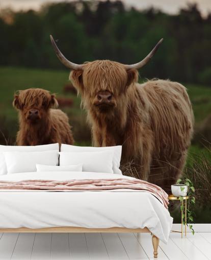 brown custom cow wallpaper mural called Highland Cow and Calf 