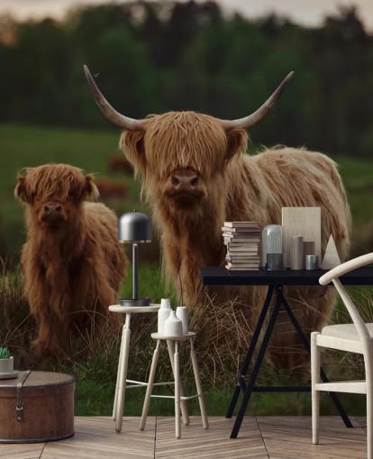 brown custom cow wallpaper mural called Highland Cow and Calf 