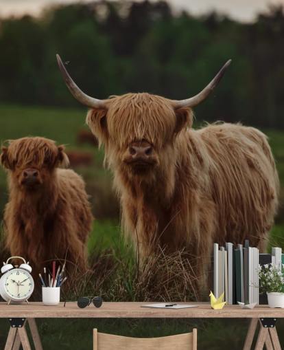 brown custom cow wallpaper mural called Highland Cow and Calf 