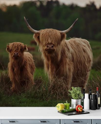 mural de papel de parede de vaca personalizado marrom chamado Highland Cow and Calf 