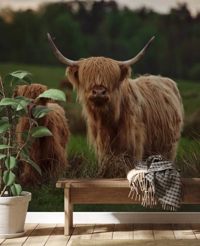 mural de papel pintado marrón personalizado de vaca llamado Highland Cow and Calf 
