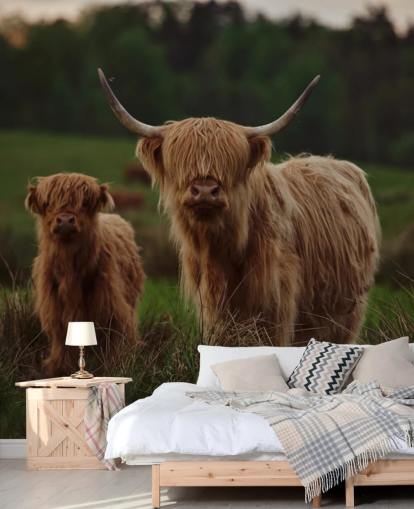 brun anpassad ko tapetväggmålning som heter Highland Cow and Calf 
