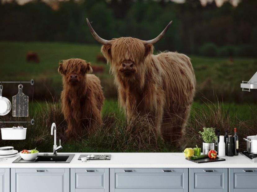 Cow Wallpaper For Kitchen Farmhouse Canvas Wall Art Rustic Cow Cattle
