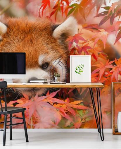 papier peint mural de panda rouge personnalisable appelé Red Panda in Autumn pour les maisons et les bureaux 