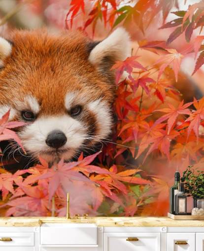 Rote personalisierbare Panda-Tapete namens Roter Panda im Herbst für Häuser und Büros 