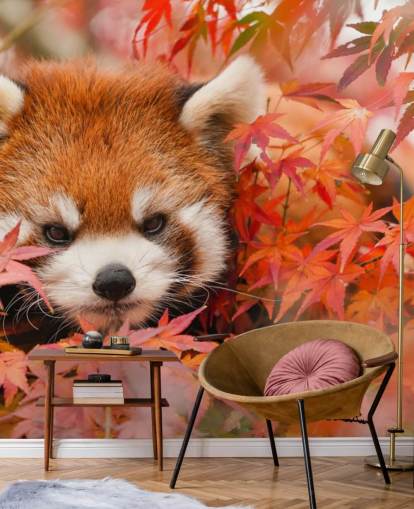 red customisable panda wallpaper mural called Red Panda in Autumn for homes and offices 