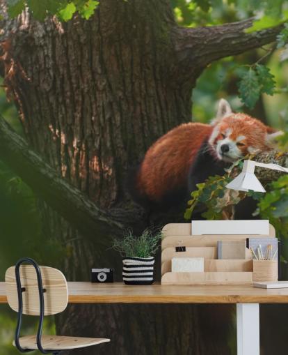 red customizable panda wallpaper mural called Sleeping Red Panda