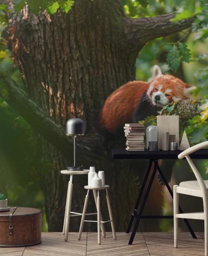 mural rojo personalizable de papel pintado de panda llamado Sleeping Red Panda