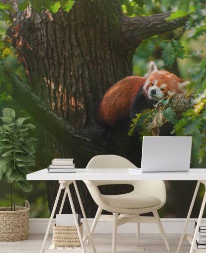 mural de papel de parede de panda vermelho personalizável chamado Sleeping Red Panda