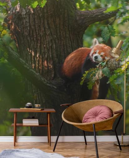 mural de papel de parede de panda vermelho personalizável chamado Sleeping Red Panda