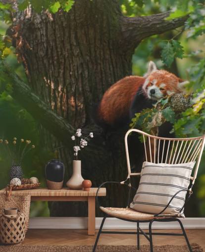 mural rojo personalizable de papel pintado de panda llamado Sleeping Red Panda mural rojo personalizable de papel pintado de panda llamado Sleeping Red Panda