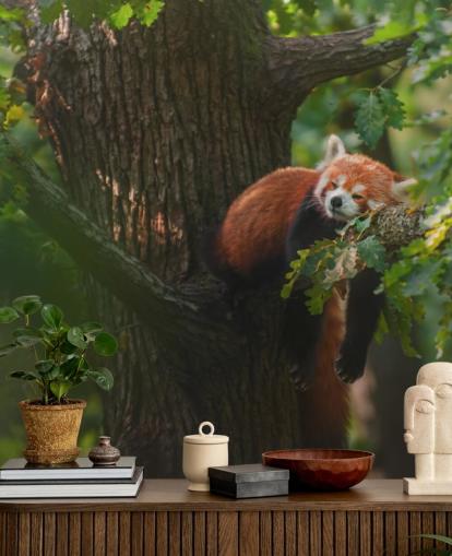 red customizable panda wallpaper mural called Sleeping Red Panda