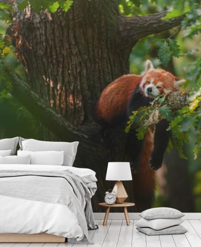 papier peint mural de panda rouge personnalisable appelé Sleeping Red Panda papier peint mural de panda rouge personnalisable appelé Sleeping Red Panda