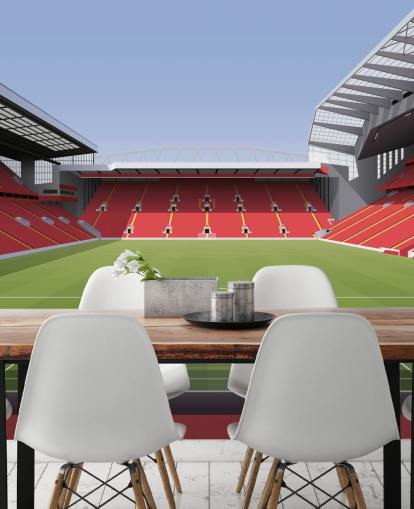 rode en groene muurschildering voor voetbalstadion genaamd Anfield Football Stadium van Matthew J I Wood Design & Illustration voor de kinderkamer rode en groene muurschildering voor voetbalstadion genaamd Anfield Football Stadium van Matthew J I Wood Design & Illustration voor de kinderkamer